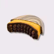 Une Brosse Lymphatique