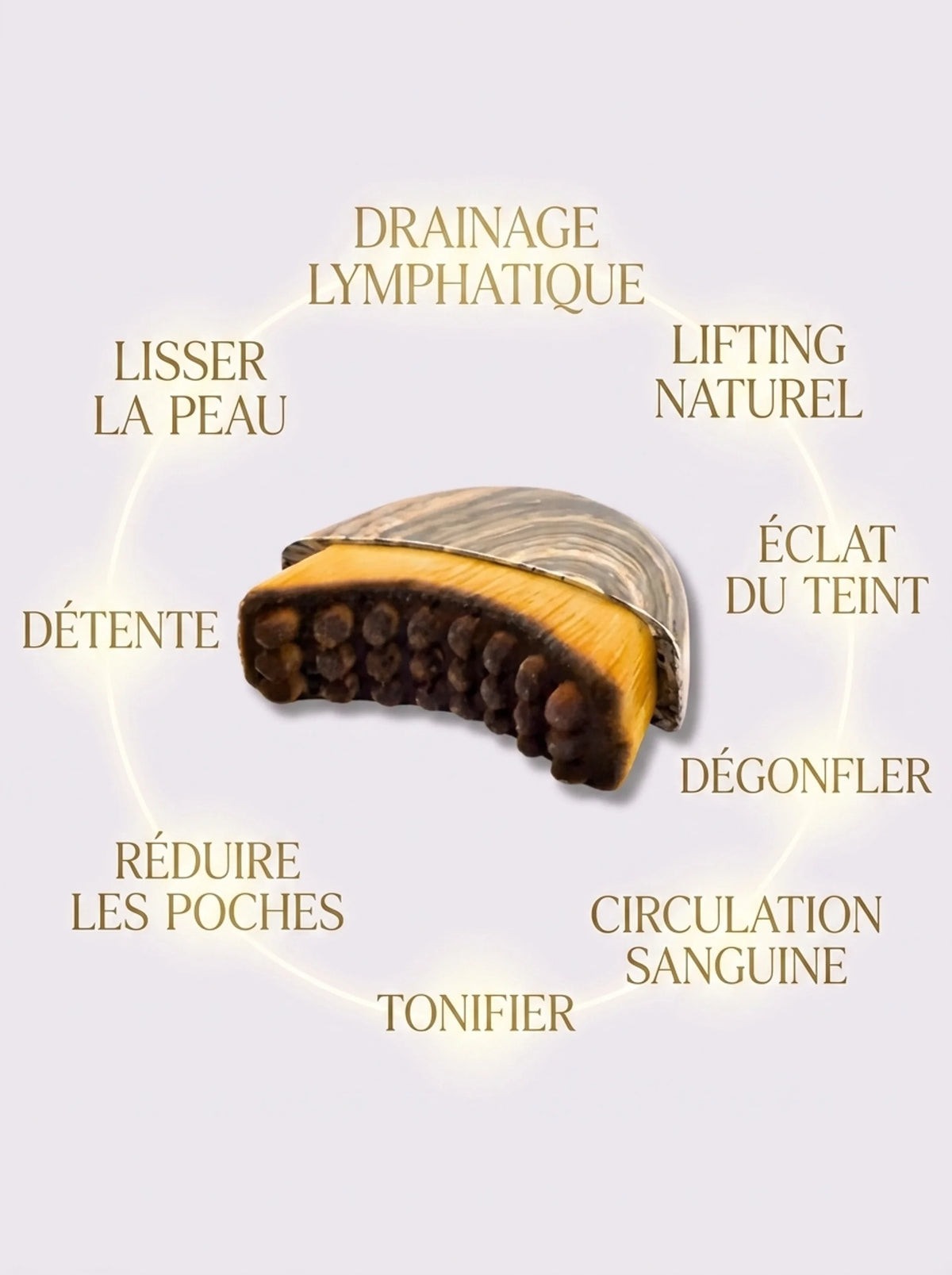 Une Brosse Lymphatique